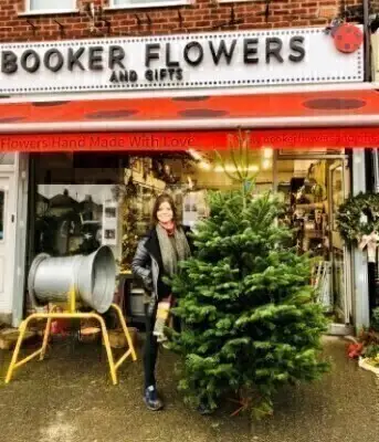 6 to 7 ft Christmas Tree Noordman Pine