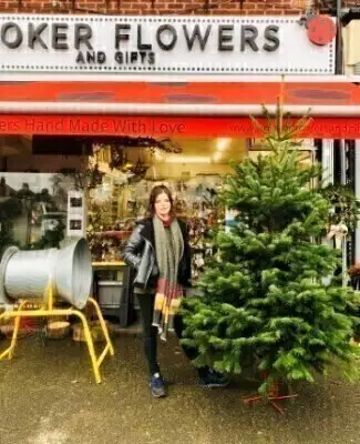 7 to 8 ft Christmas Tree Noordman Pine