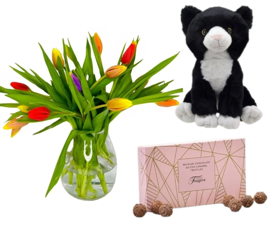 Happy Mothers Day Love From The Cat