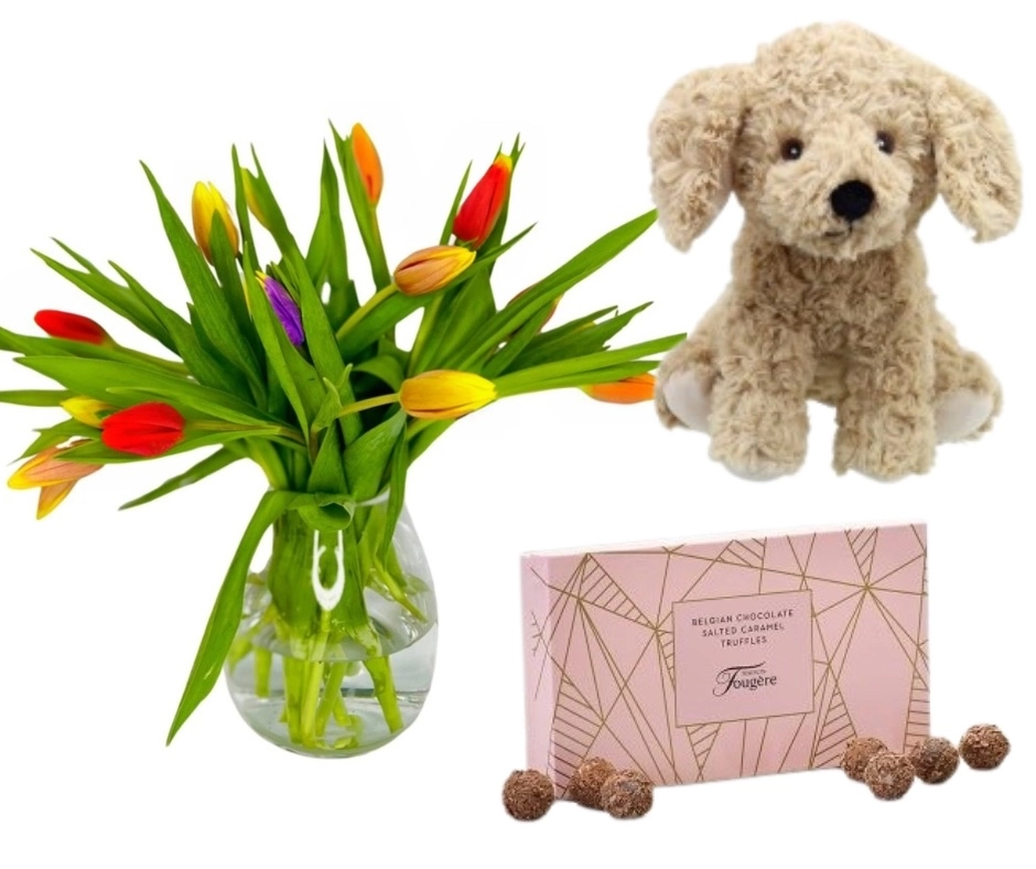 Happy Mothers Day Love From The Dog