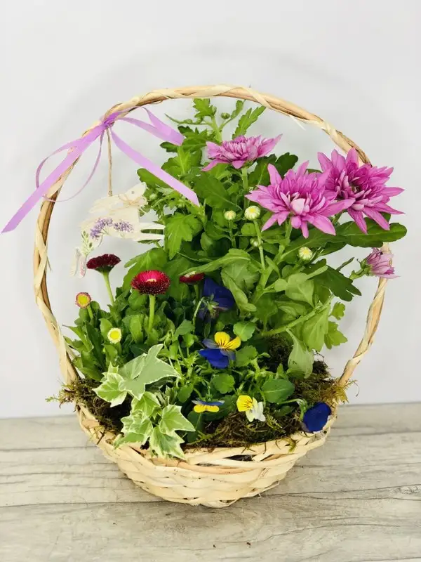 Mothers Day Spring Planted Basket