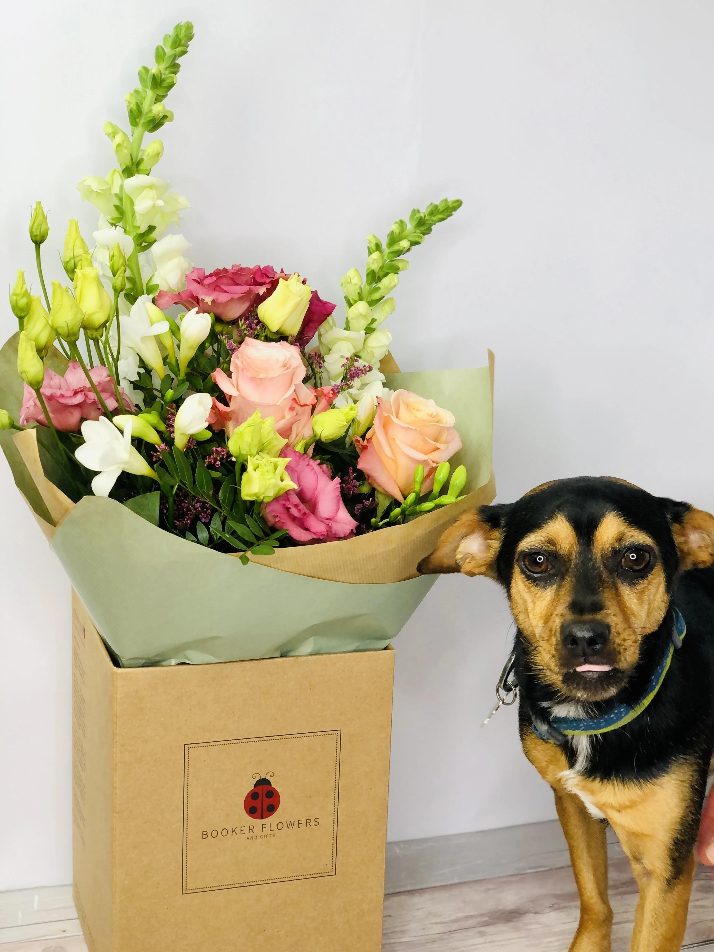 Pet Friendly Flowers Pastel Bouquet