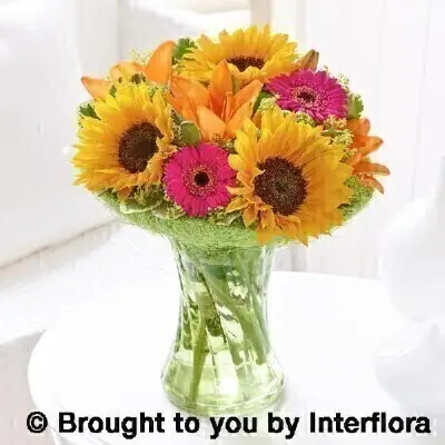 Sunflower perfect gift